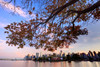 Artist's Choice: Skyline With New Convention Centre From Coal Harbour At Dusk, Vancouver, British Columbia PosterPrint - Item # VARDPI2031799
