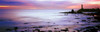View of Pigeon Point Lighthouse, Pescadero, California, USA Poster Print - Item # VARPPI158391