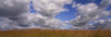 Clouds over a field, Iowa, USA Poster Print - Item # VARPPI55712