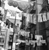Low angle view of clothes drying on clothesline Poster Print - Item # VARSAL9902045
