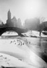 USA  New York State  New York City  Fifth Avenue skyline from Central Park Poster Print - Item # VARSAL255420031