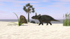 Triceratops walking along a prehistoric beach landscape Poster Print - Item # VARPSTKVA600253P