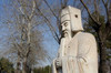 http://c328301.r1.cf1.rackcdn.com/PDDAS07CMI0642B.jpg