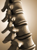 Conceptual image of human backbone Poster Print - Item # VARPSTSTK700811H