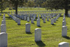 Arlington National Cemetery, Arlington, Virginia, USA Poster Print - Item # VARPSTTMO100609M