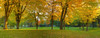 http://c328301.r1.cf1.rackcdn.com/PPI153379L.jpg