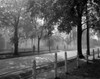 Street scene Poster Print