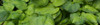 http://c328301.r1.cf1.rackcdn.com/PPI162544S.jpg