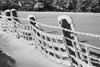 Canadian winter; Ville de Lac Brome, Quebec, Canada PosterPrint - Item # VARDPI2333720