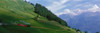 http://c328301.r1.cf1.rackcdn.com/PPI82445S.jpg