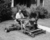 Mature man mowing the lawn with a lawn mower Poster Print - Item # VARSAL25519070