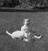Baby sitting on grass Poster Print - Item # VARSAL255420975