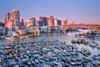 http://c328301.r1.cf1.rackcdn.com/DPI2072195LARGE.jpg