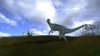 Dilophosaurus in a grassy field Poster Print - Item # VARPSTKVA600210P