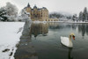 Chateau de Vizille  Swan lake  France Poster Print by Panoramic Images (19 x 12) - Item # PPI93141