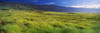 http://c328301.r1.cf1.rackcdn.com/PPI145318L.jpg