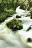 County Cork, Ireland, River PosterPrint - Item # VARDPI1844928