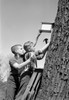 Two boys placing birdhouse on tree Poster Print - Item # VARSAL25516275