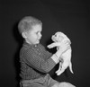 Portrait of boy with puppy Poster Print - Item # VARSAL255416479