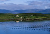 http://c328301.r1.cf1.rackcdn.com/DPI1816292LARGE.jpg