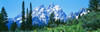 http://c328301.r1.cf1.rackcdn.com/PPI67519L.jpg