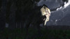 Acrocanthosaurus in North America in the early Cretaceous on a stormy night Poster Print - Item # VARPSTADR600001P