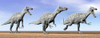 Three Suchomimus dinosaurs standing in the desert by daylight Poster Print - Item # VARPSTEDV600036P