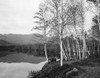 USA  New Hampshire  Shelburne  Cyclists resting on banks of Androscoggin River Poster Print - Item # VARSAL255418805