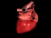 Conceptual image of human heart Poster Print - Item # VARPSTSTK700669H