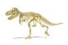 3D rendering of a Tyrannosaurus Rex dinosaur skeleton, perspective view. T-Rex was one of the largest carnivorous dinosaurs of the Cretaceous period Poster Print - Item # VARPSTVET600036P