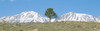 http://c328301.r1.cf1.rackcdn.com/PPI160192S.jpg