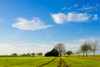 Barn and green agricultural field, Baden-Wurttemberg, Germany Poster Print - Item # VARPPI167441