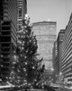 USA  New York City  Park Avenue  Street scene with Christmas tree Poster Print - Item # VARSAL255423351