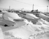 Snow covered cars Poster Print - Item # VARSAL255416168