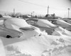 Snow covered cars Poster Print - Item # VARSAL255416168