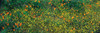 http://c328301.r1.cf1.rackcdn.com/PPI159754L.jpg