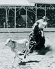 Cowboy lassoing calf in rodeo Poster Print - Item # VARSAL2556071A