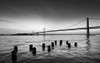 Suspension bridge over Pacific ocean, Bay Bridge, San Francisco Bay, San Francisco, California, USA Poster Print - Item # VARPPI168475