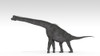Brachiosaurus dinosaur, white background Poster Print