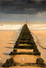 Jetty On Beach, Yorkshire, England PosterPrint - Item # VARDPI1828472