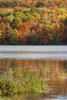 Reflection Of Autumn Colors In A Lake; Ontario, Canada PosterPrint - Item # VARDPI1900661
