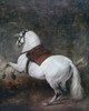 A White Horse  ca. 1634-35  Diego Velazquez  Oil on canvas  Palacio Real  Madrid  Spain Poster Print - Item # VARSAL900100042
