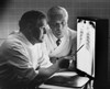 Two doctors examining an X-Ray Poster Print - Item # VARSAL2553719