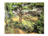 http://c328301.r1.cf1.rackcdn.com/BALXIR162359LARGE.jpg