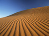 Morocco, Detail of sand dune at dawn in Erg Chebbi area; Sahara Desert near Merzouga PosterPrint - Item # VARDPI2297341