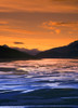 Medicine Lake, Jasper National Park, Jasper, Alberta, Canada PosterPrint - Item # VARDPI1779445
