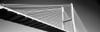 Low Angle View Of A Bridge, Talmadge Memorial Bridge, Savannah, Georgia, USA Poster Print - Item # VARPPI172750