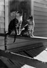 Two cats sitting on porch Poster Print - Item # VARSAL255423565