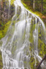 Proxy Falls In Willamette National Forest; Oregon, United States of America PosterPrint - Item # VARDPI1998592