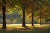 http://c328301.r1.cf1.rackcdn.com/PDDAU01DWA3575.jpg